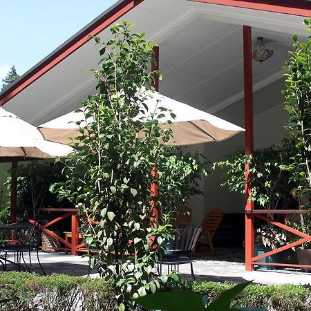 Cielito Sur Bed & Breakfast Inn แซร์โรปุนตา ภายนอก รูปภาพ